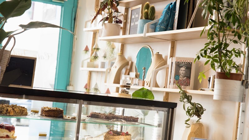 Cafe Frida x Plant Paradise - Bremen